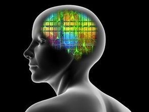 網絡科技類企業計算機及輔助設備稅收籌劃方案